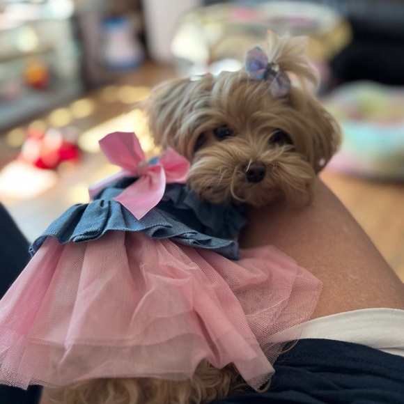 Sebaoyu Small Dog Puppy Princess Dress - Picture 5 of 7